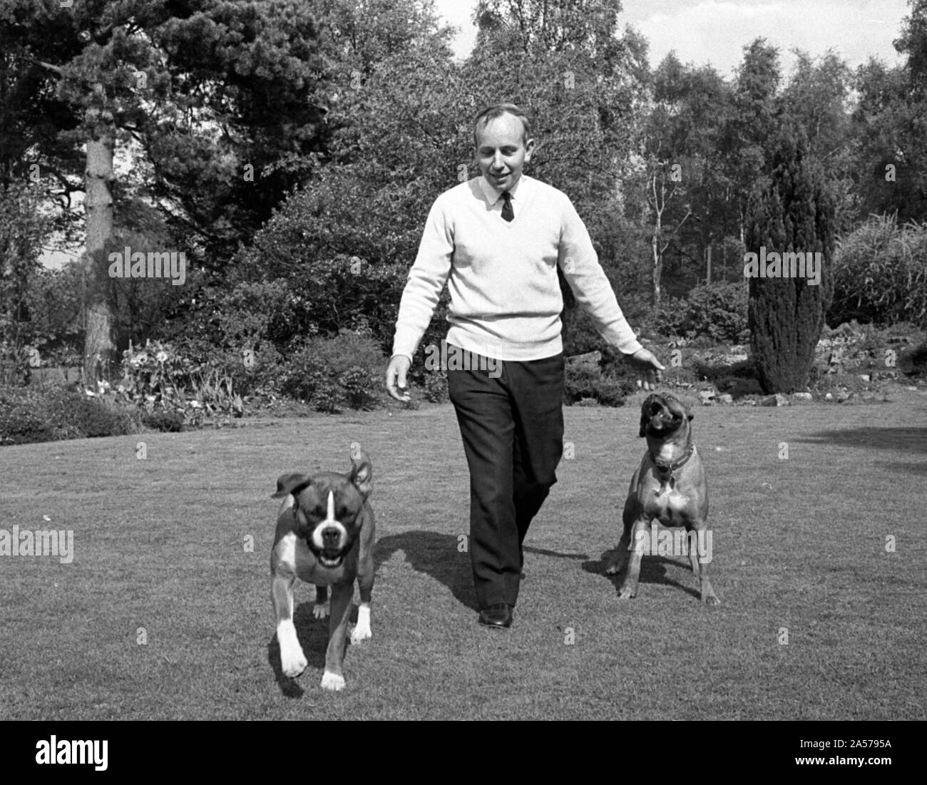 John Surtees playing with his pet dogs at home 1966. Stock Photo