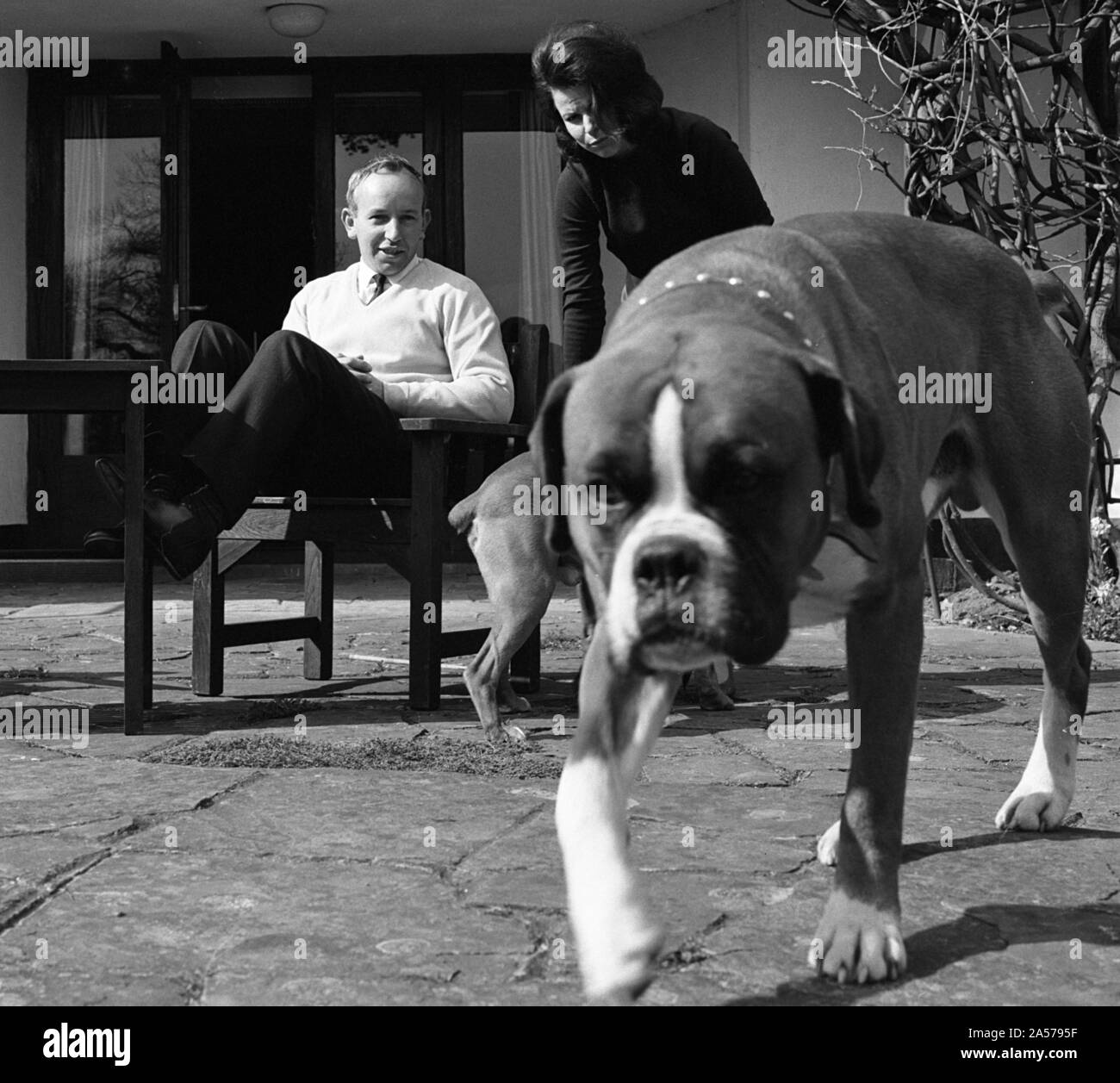 John Surtees relaxes at home with his wife and pet dogs in 1966. Stock Photo