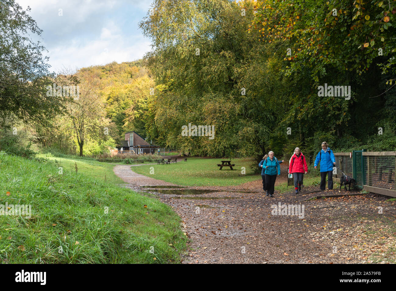 Walkers at Queen Elizabeth Country Park in the South Downs National Park, Hampshire, UK Stock Photo
