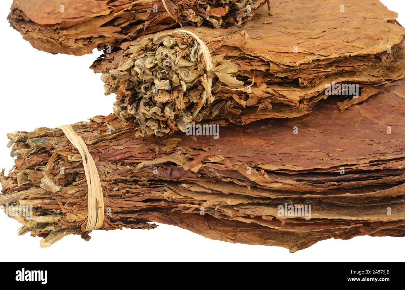 cured tobacco leaves to make cigars on white background Stock Photo