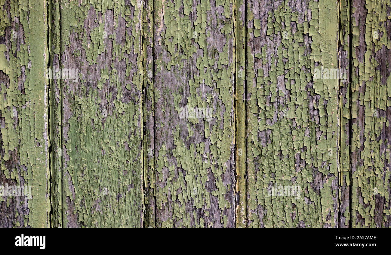 Weathered, Cracked and peeling dried lime green paint on old wooden door background Stock Photo
