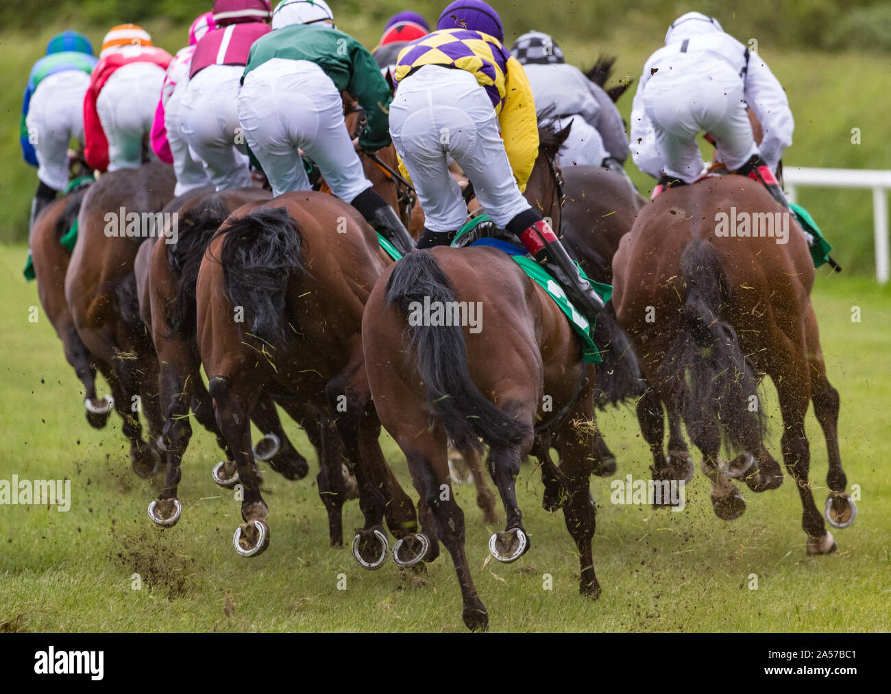 Horses Racing From Behind High Resolution Stock Photography And Images Alamy