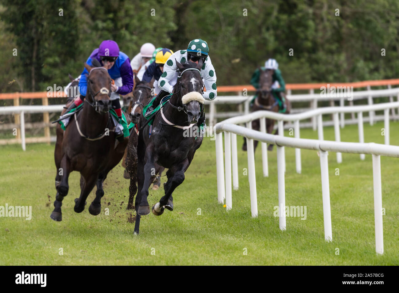 Lead race horse and jockey taking the final turn on the race track
