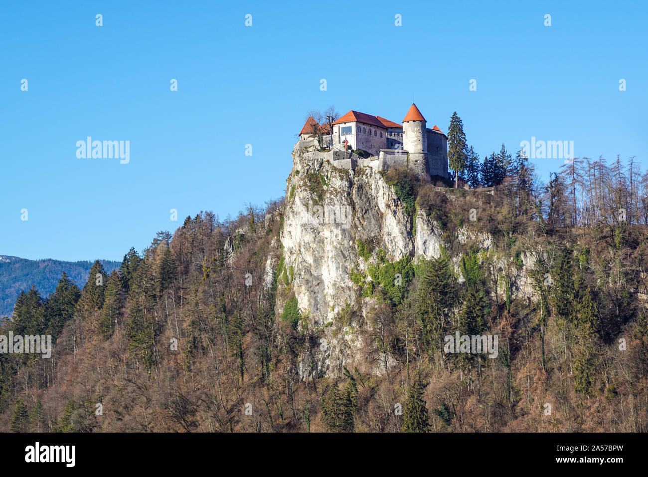 Bled Castle built on top of a cliff overlooking lake Bled, located in Bled, Slovenia. Stock Photo