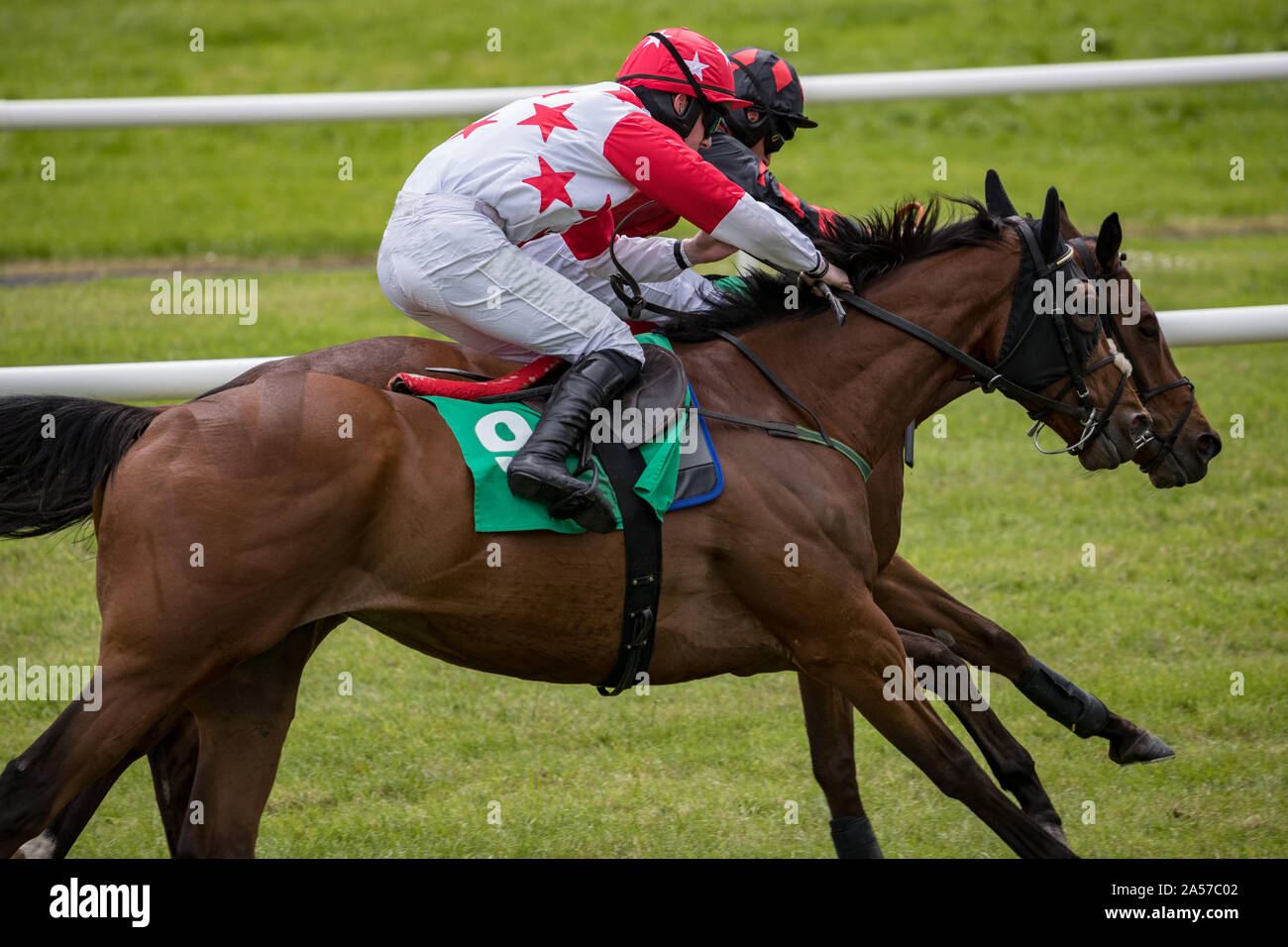 Two race horses and jockeys competing for position on the track Stock