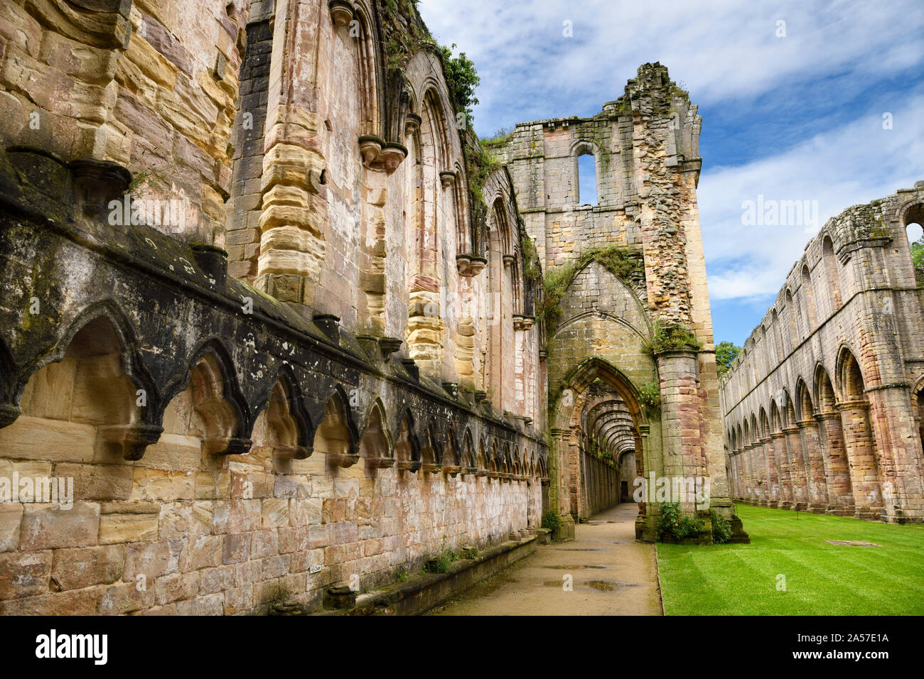 Are Dogs Allowed Into Fountains Abbey