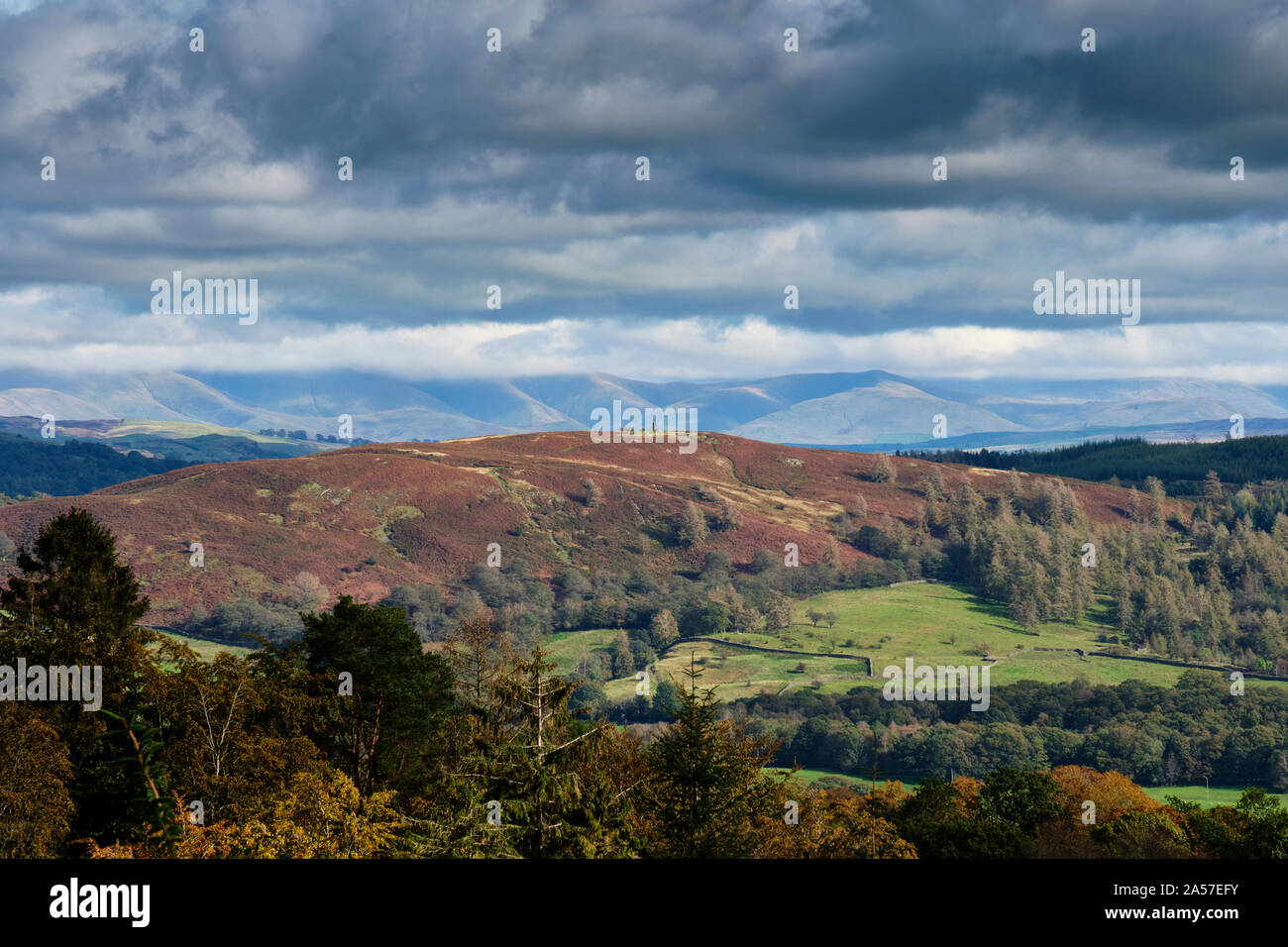 Latterbarrow seen from near Rose Castle, Tarn Hows, near Hawkshead, Lake District, Cumbria Stock Photo