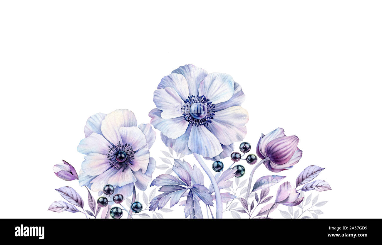 Watercolor Anemones High Resolution Stock Photography And Images Alamy