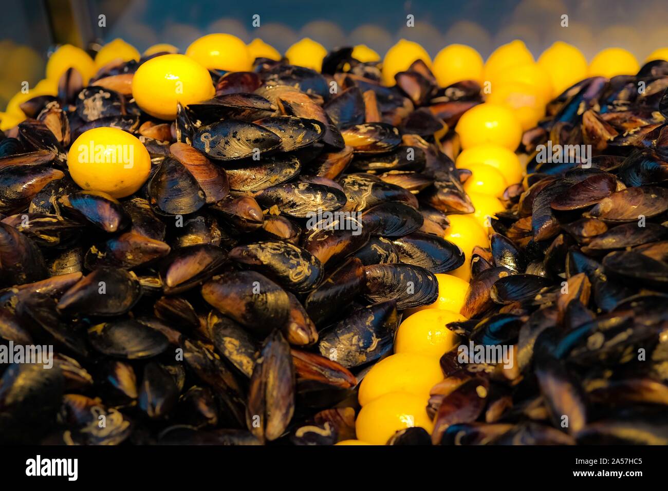 Ready to eat mussels stuffed with spicy cooked rice and lemon. Street fast food concept. Mediterranean region. Selective focuse. Stock Photo