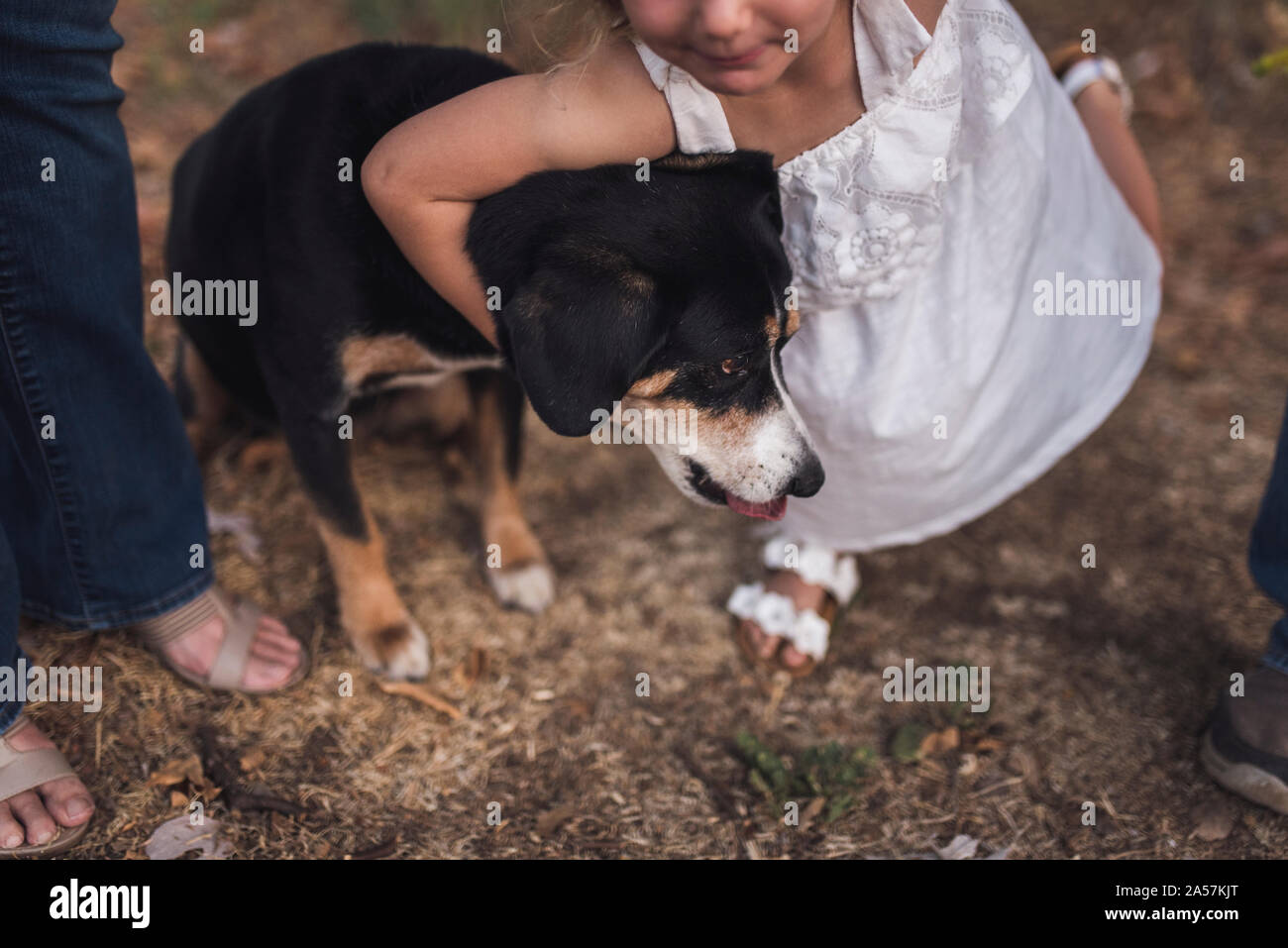 4 yr old girl in white dress hugging family pet dog Stock Photo