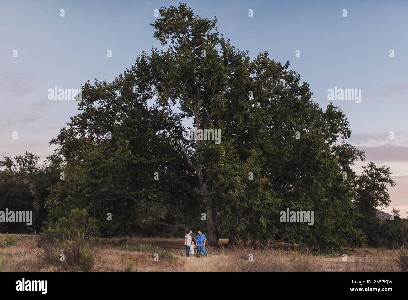 Mom dad girl hi-res stock photography and images - Alamy