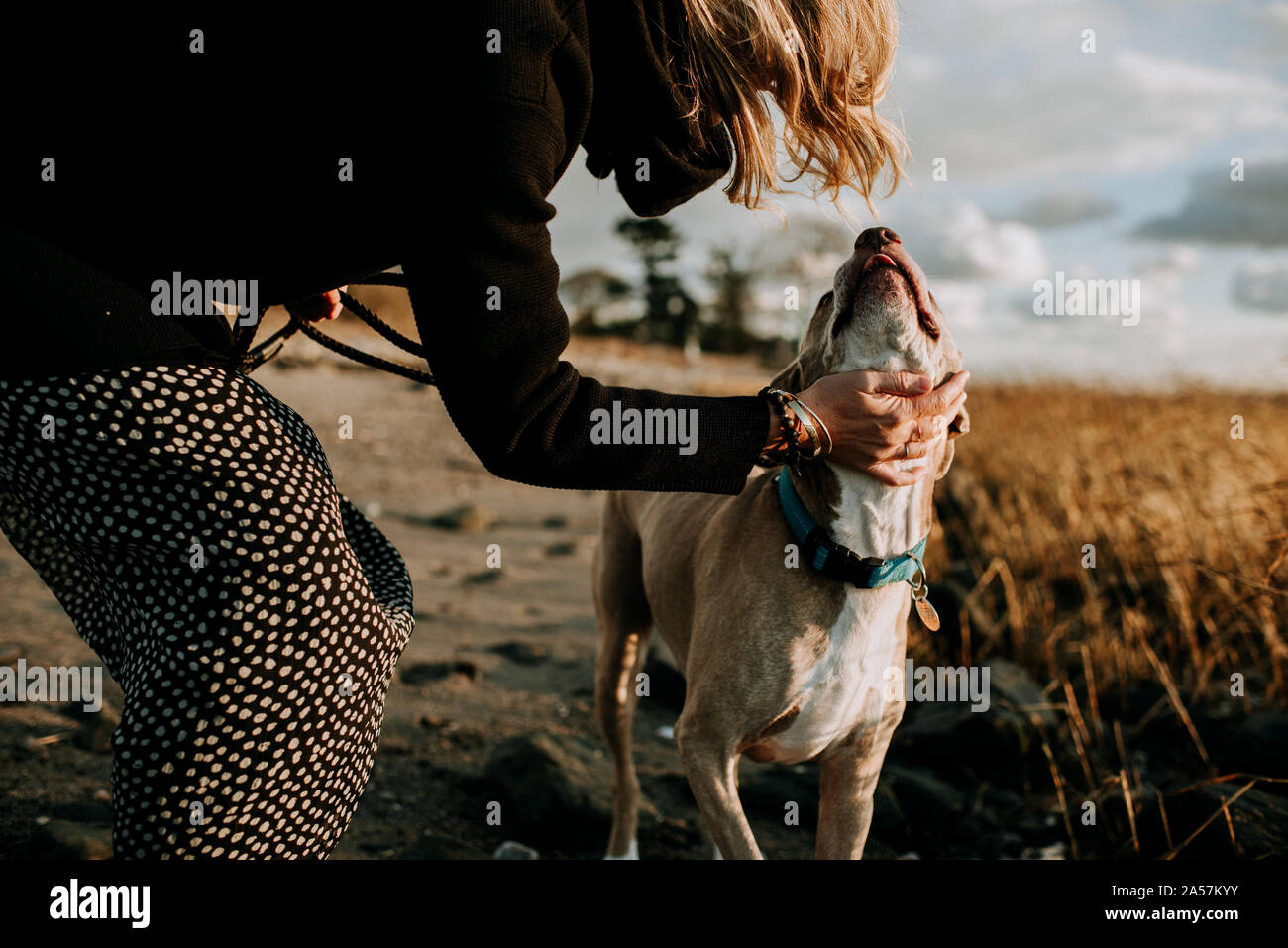 Blonde woman with dog hires stock photography and images Alamy