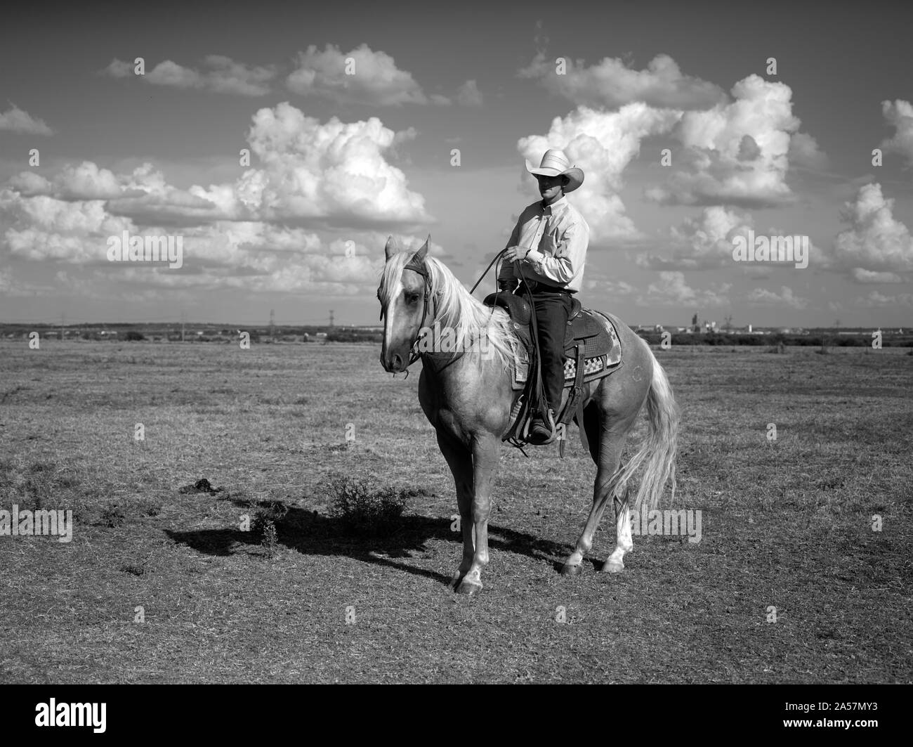 Wade Meador of Marietta, Oklahoma, is the horse trainer at the Cannon Quarter Horse ranch near the town of Venus in north-central Texas Stock Photo