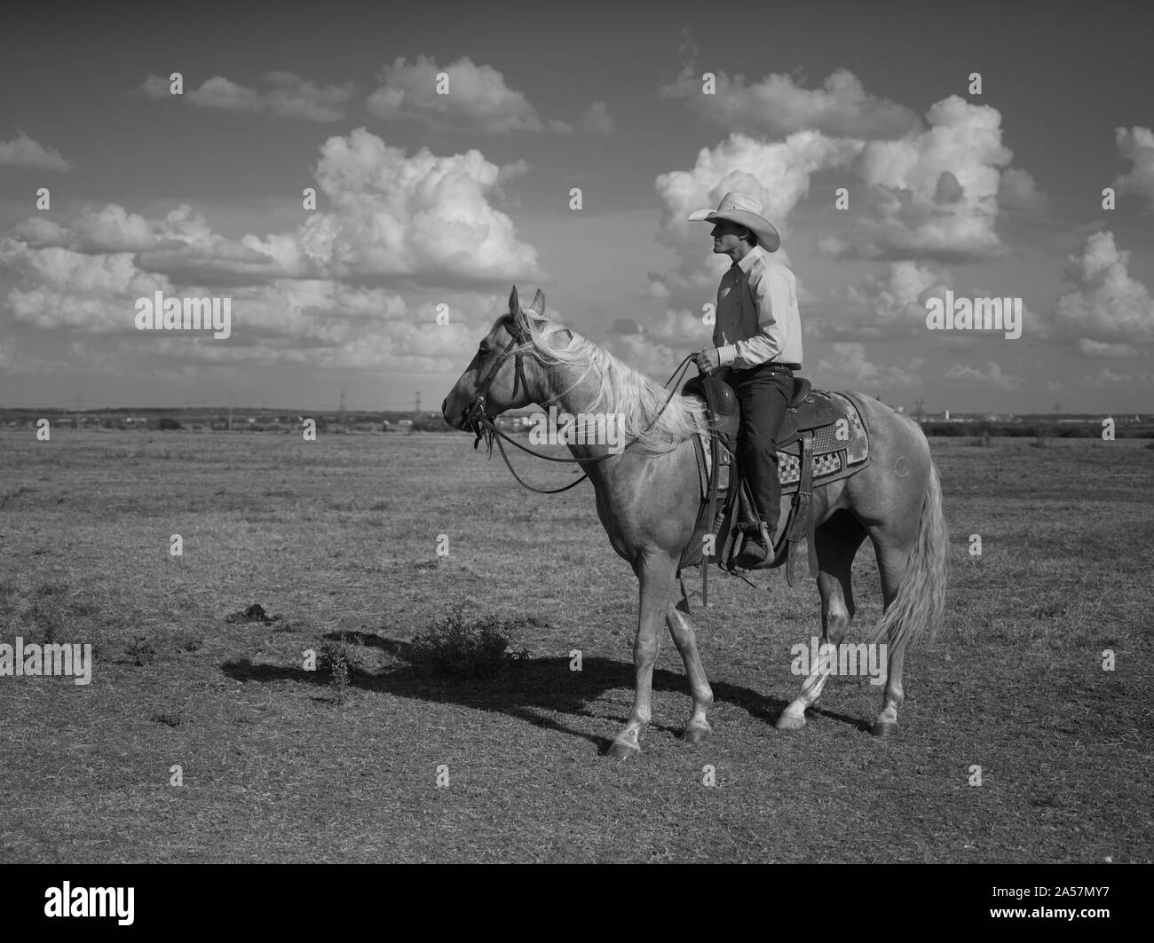 Wade Meador of Marietta, Oklahoma, is the horse trainer at the Cannon Quarter Horse ranch near the town of Venus in north-central Texas Stock Photo