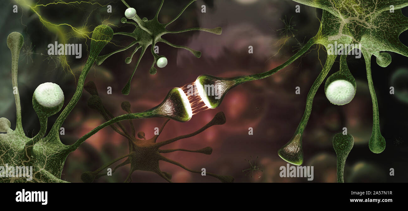 Microscopic image of brain neurons Stock Photo