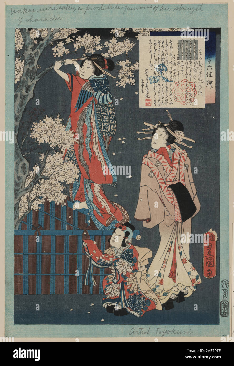 Wakamurasaki hires stock photography and images Alamy