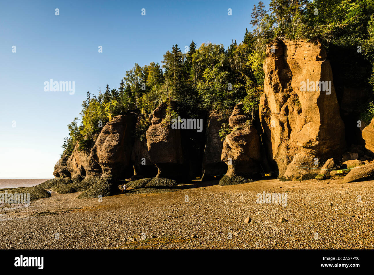 Hopewell Rocks Hopewell Cape, New Brunswick, CA Stock Photo Alamy