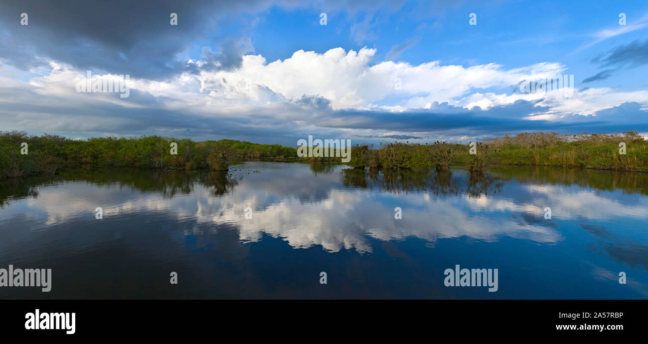 Reflection of clouds on water, Everglades National Park, Florida, USA Stock Photo