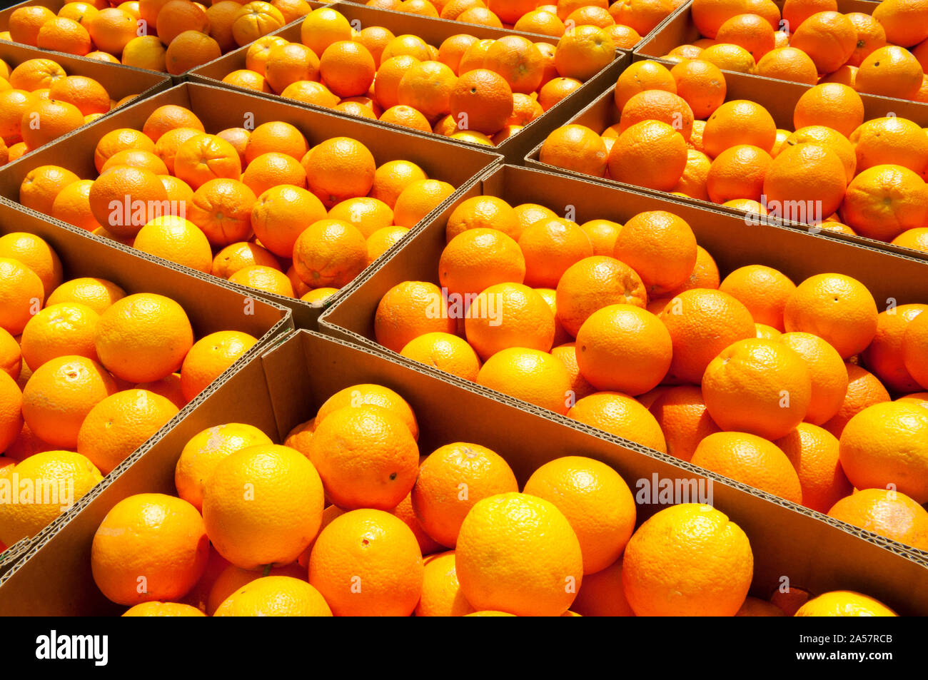 Crates of Oranges, Santa Paula, Ventura County, California, USA Stock