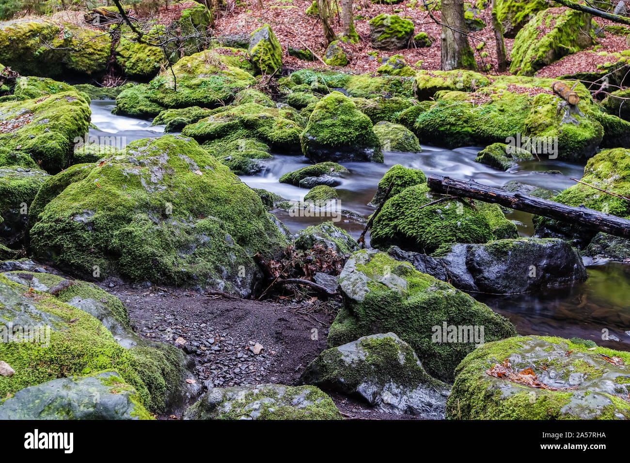 autumn leaves and rocky river Stock Photo - Alamy