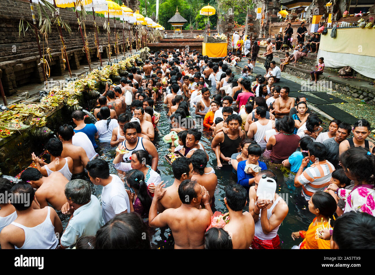 Hindus in ritual pool at holy spring temple, Tirta Empul, Tampaksiring, Bali, Indonesia Stock Photo