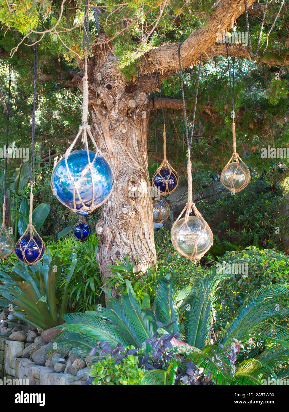 Glass Balls Hanging From A Tree In A Garden Stock Photo - Alamy