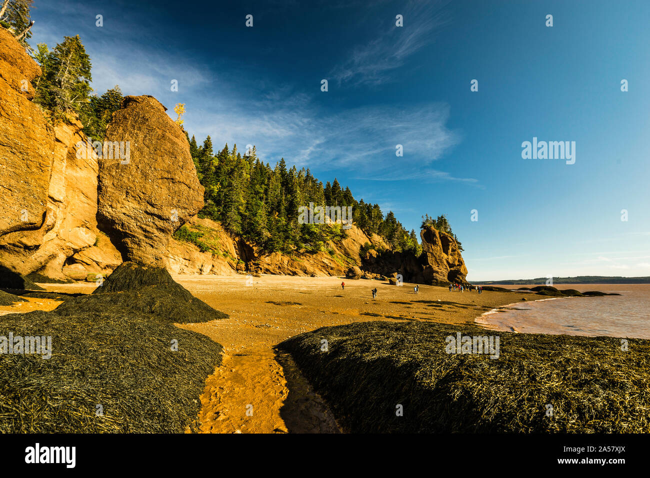 Hopewell Rocks Hopewell Cape, New Brunswick, CA Stock Photo Alamy
