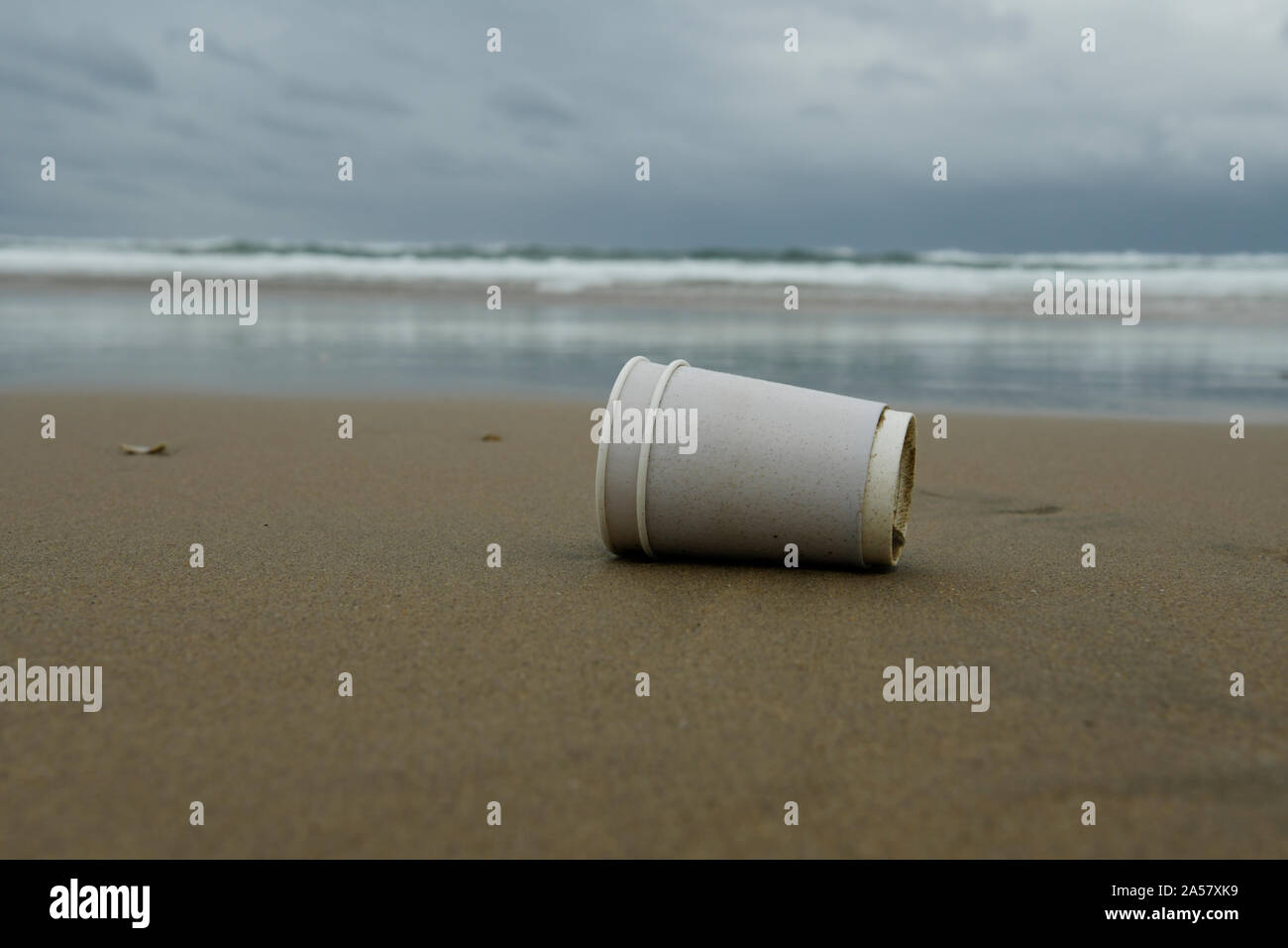 Durban, South Africa, beach pollution, disposable cups lying on sand in tidal zone, food packaging, close up, objects, container, waste Stock Photo