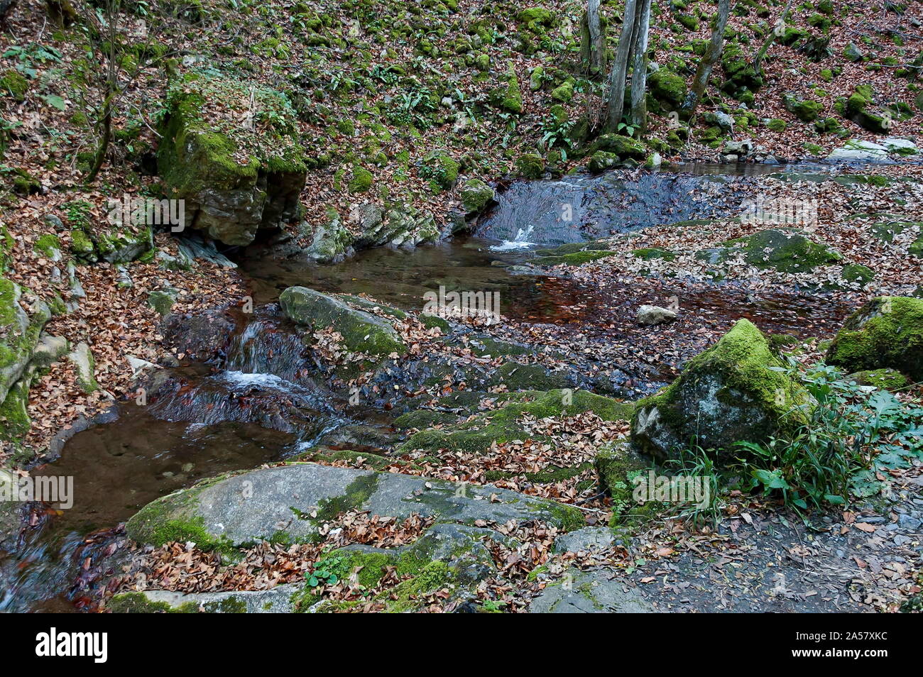 Autumn walk through the labyrinth of the Teteven Balkan with high peaks and river, Stara Planina, Bulgaria Stock Photo