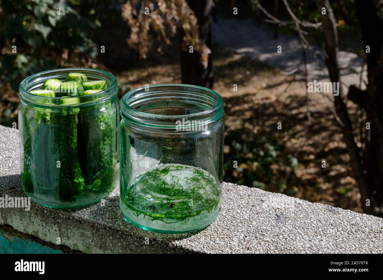 Two glass jars with the necessary preparation for  traditional home-made canning cucumbers, Sofia, Bulgaria Stock Photo