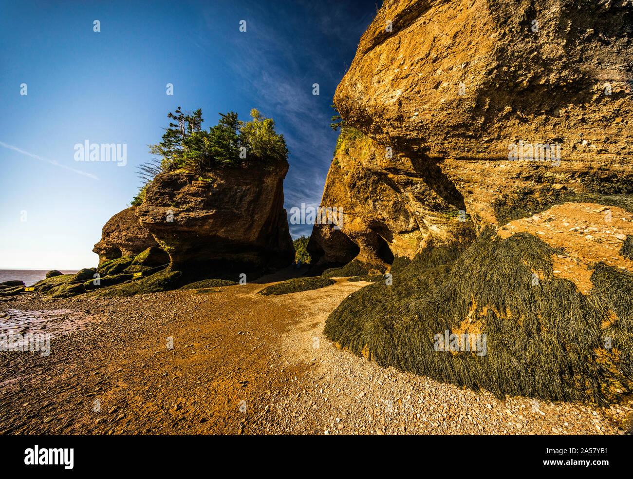 Hopewell Rocks Hopewell Cape, New Brunswick, CA Stock Photo Alamy