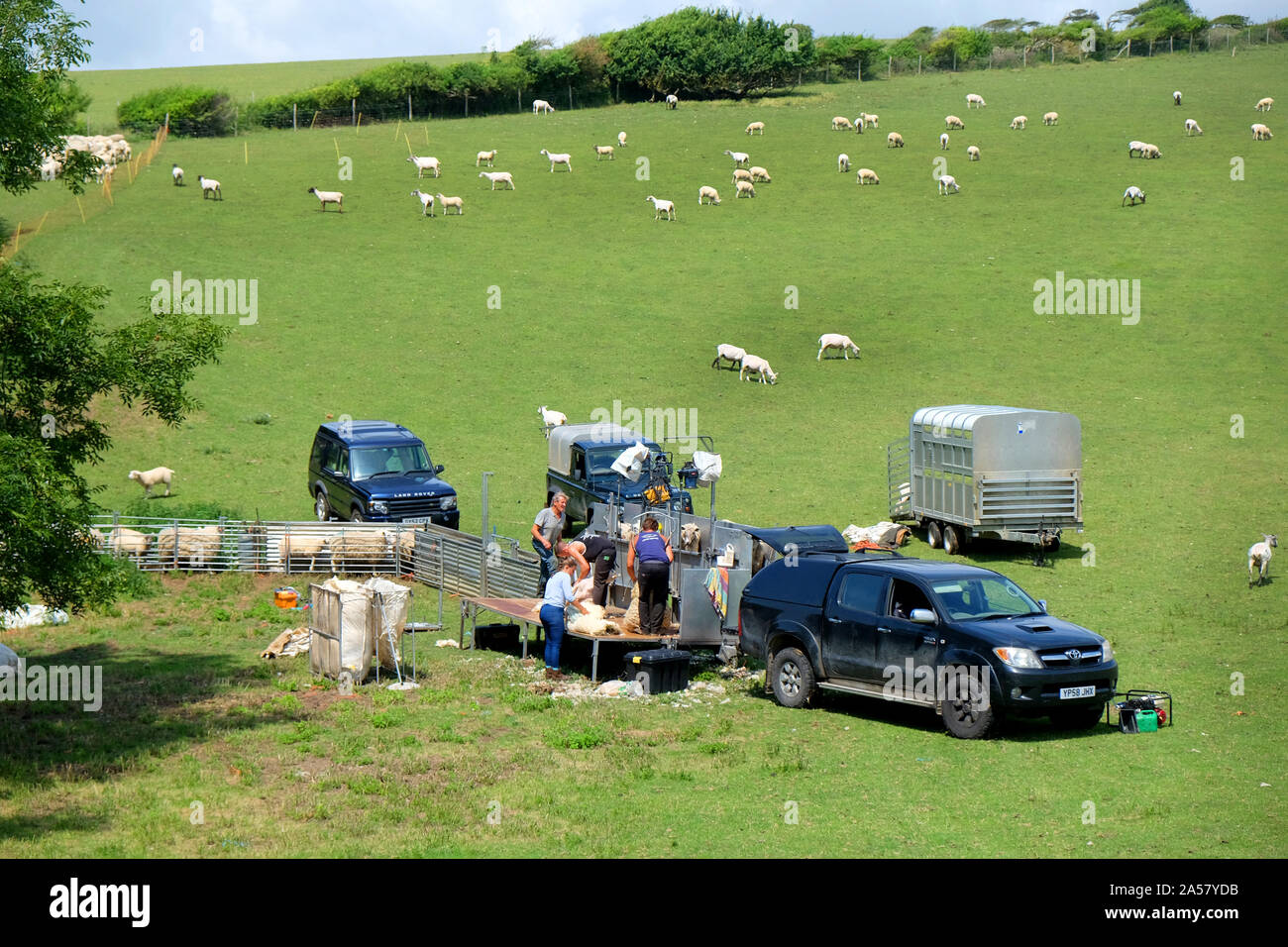 Sheep shearing in the Sussex rolling green hills, England, UK, a mobile ...