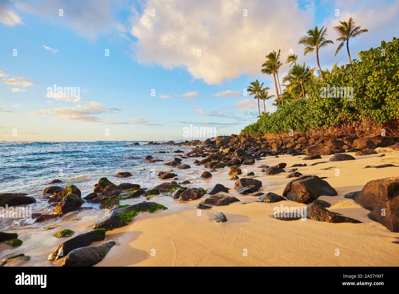 Laniakea Beach by sunset, Haleiwa, Hawaiian Island Oahu, O'ahu, Hawaii, Aloha State, USA Stock Photo
