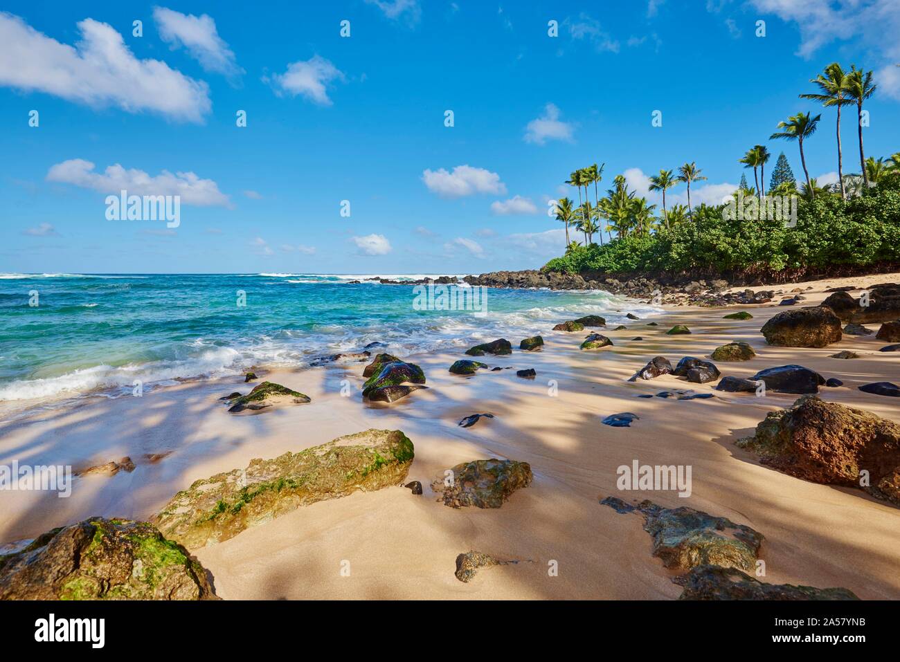 Laniakea Beach, Haleiwa, Hawaiian Island Oahu, O'ahu, Hawaii, Aloha State, USA Stock Photo