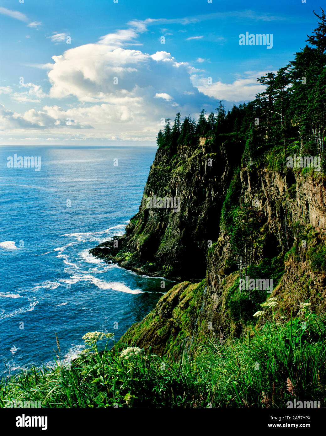 Elevated view of Cape Meares, Oregon Coast, Tillamook County, Oregon