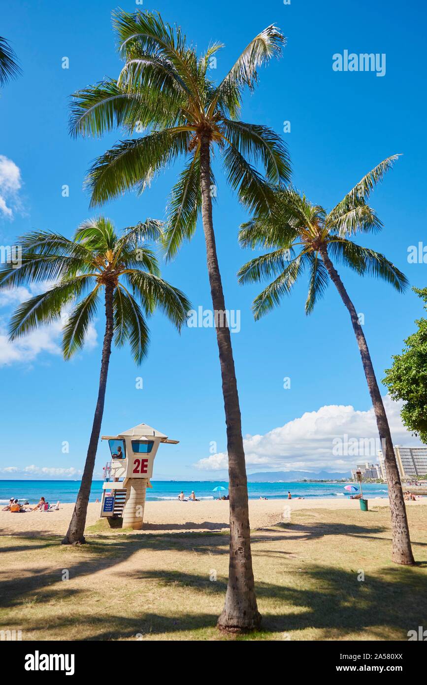 Kuhio Beach, Honolulu, Hawaiian Island Oahu, O'ahu, Hawaii, Aloha State, USA Stock Photo