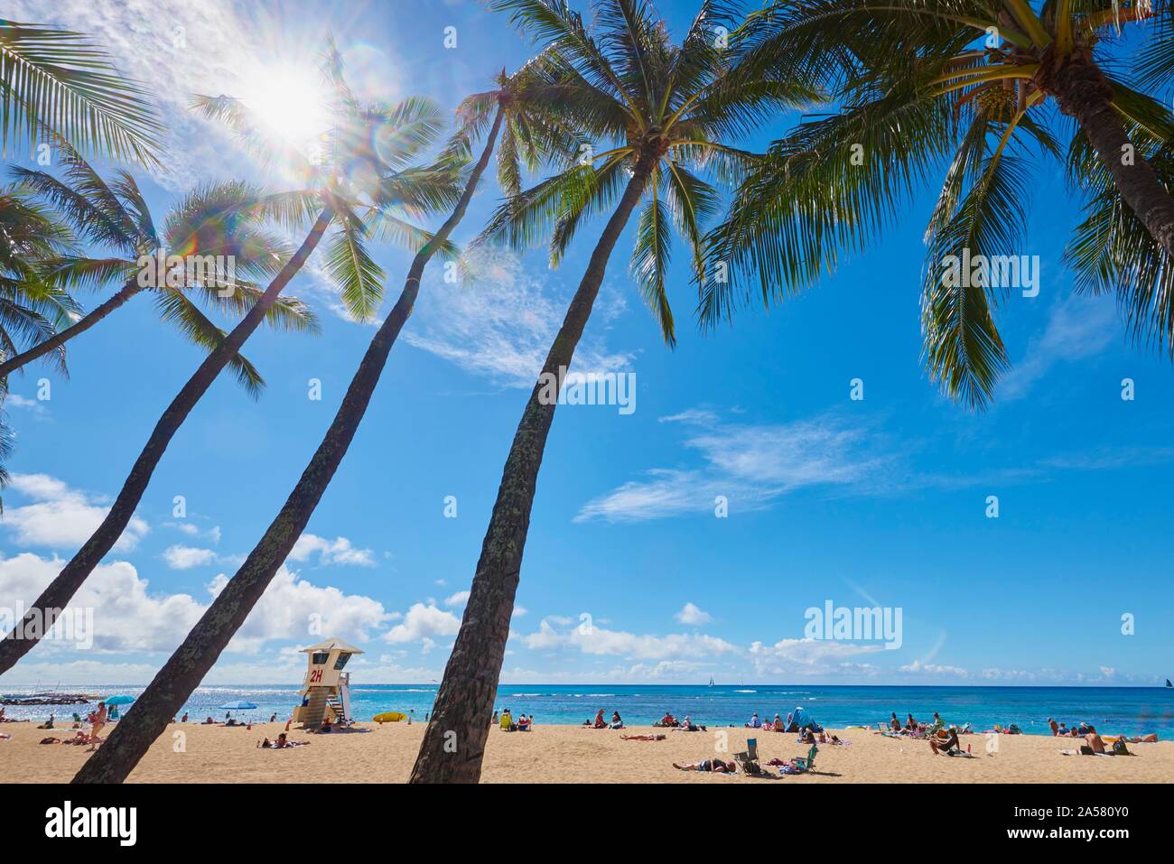 LKuhio Beach, Honolulu, Hawaiian Island Oahu, O'ahu, Hawaii, Aloha State, USA Stock Photo