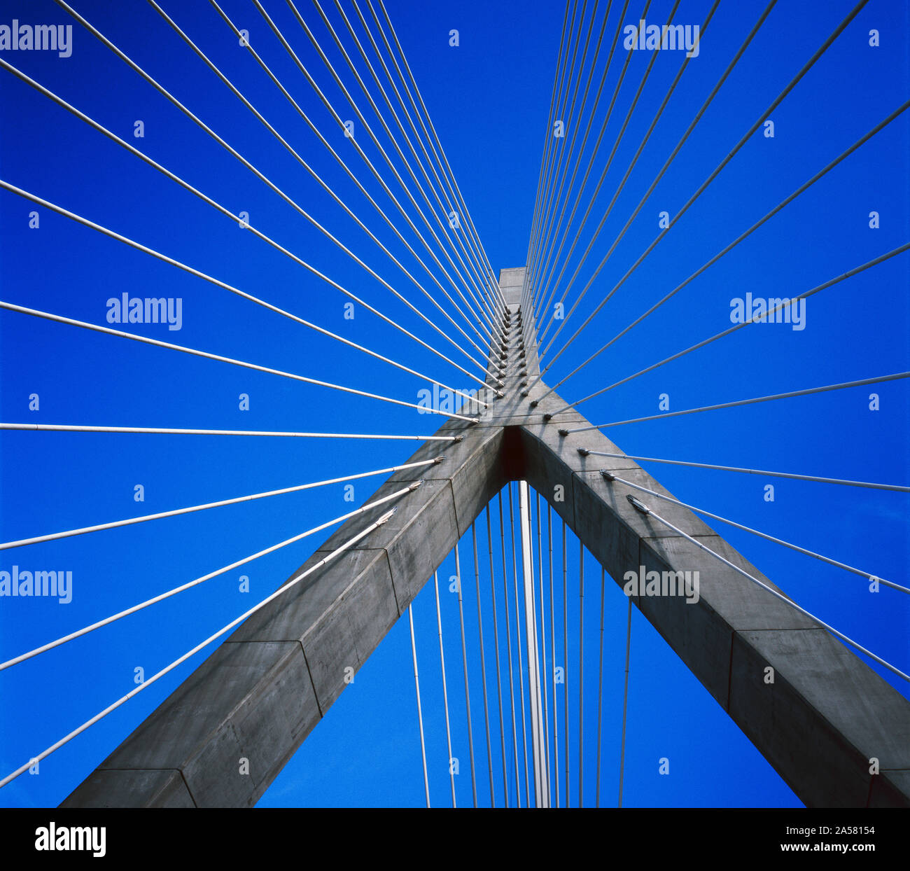 Architecture of Zakim bridge, Boston, Massachusetts, USA Stock Photo