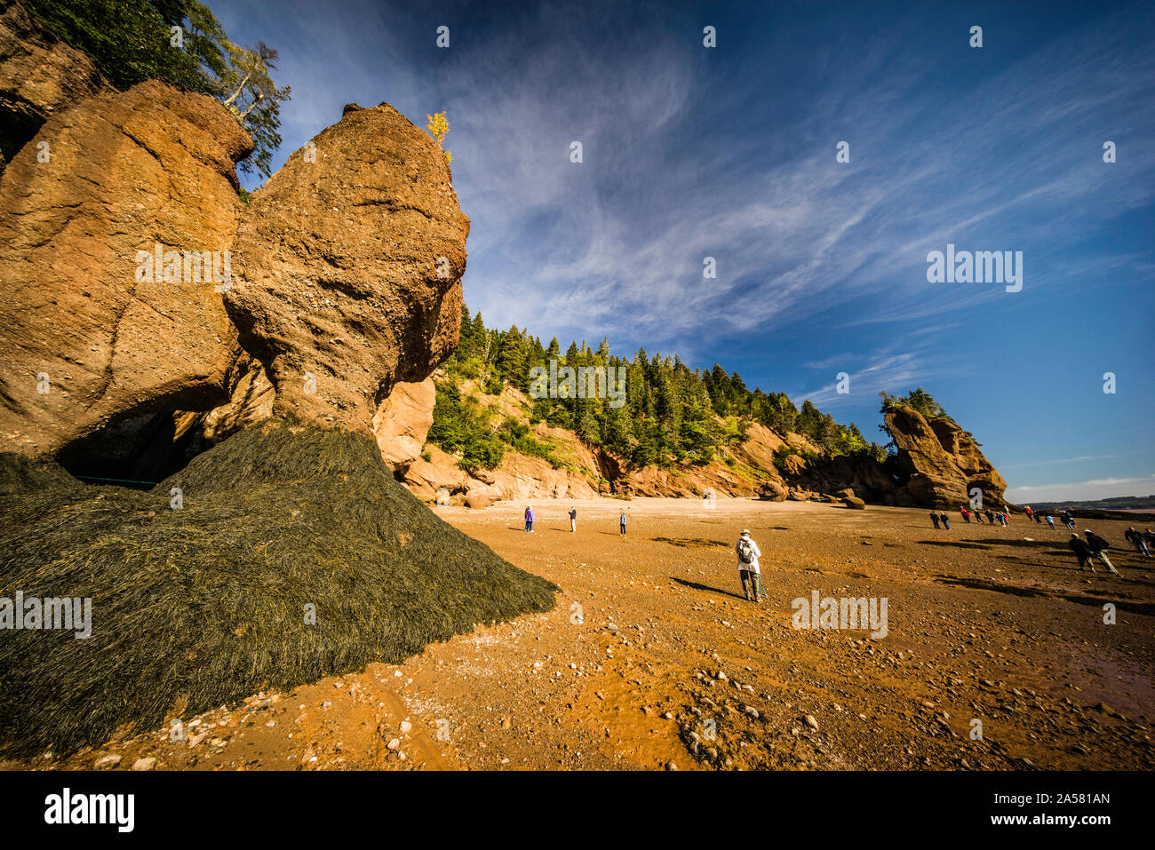 Hopewell Rocks Hopewell Cape, New Brunswick, CA Stock Photo Alamy