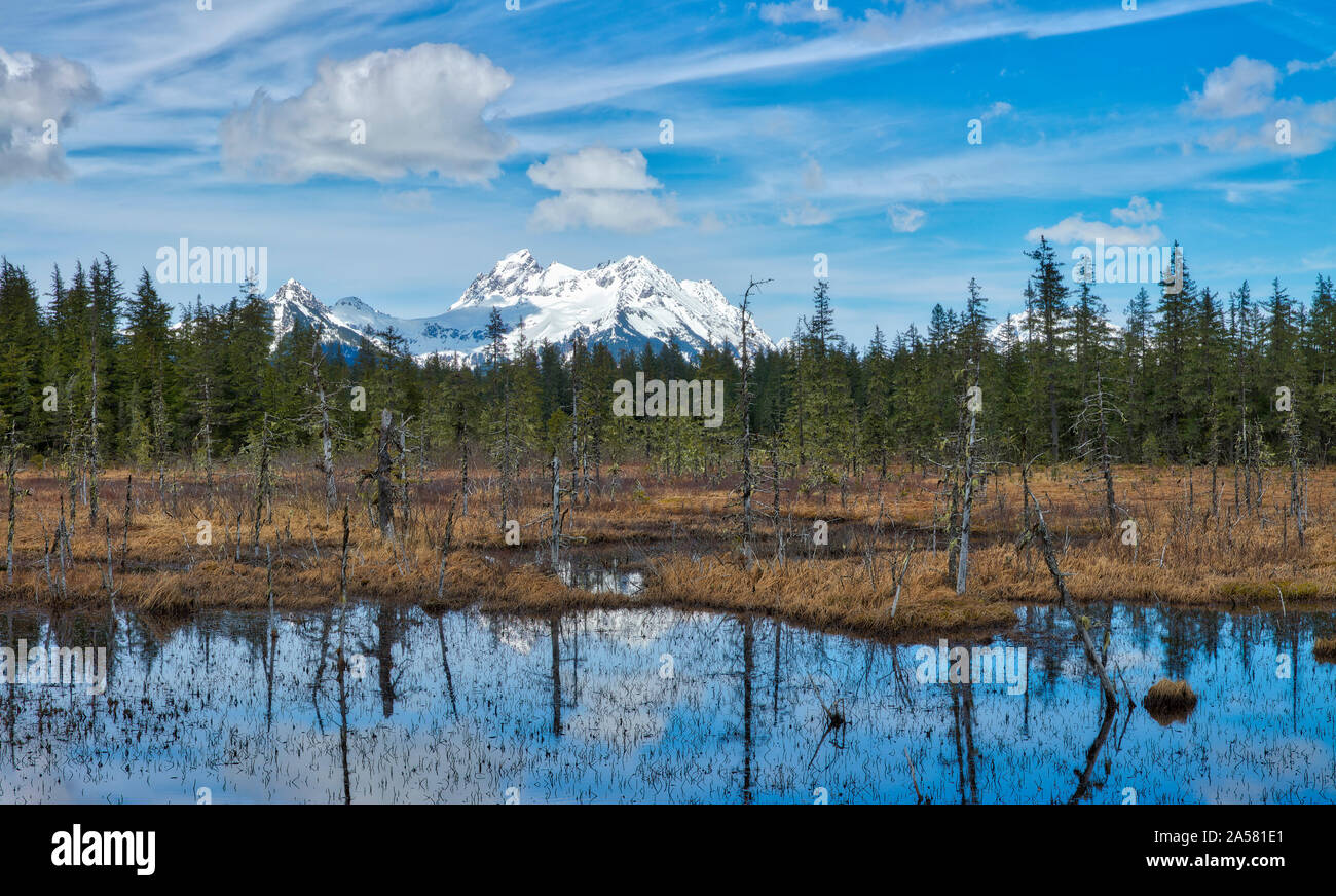 Scenic mountainous landscape, Cordova, Alaska, USA Stock Photo