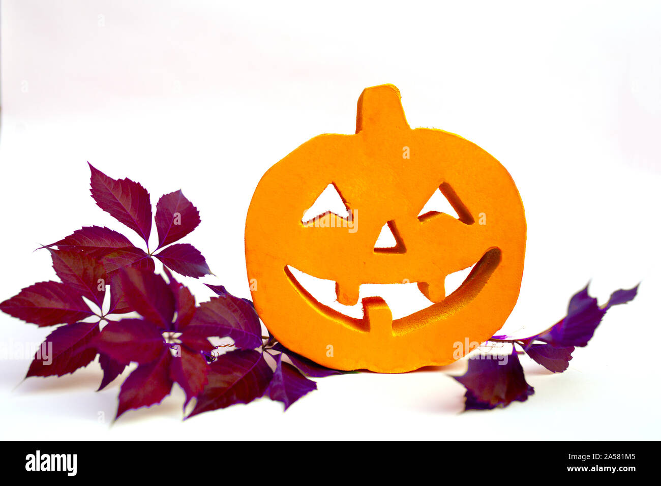 Halloween orange pumpkin on the bough of chesnut on white background Stock Photo