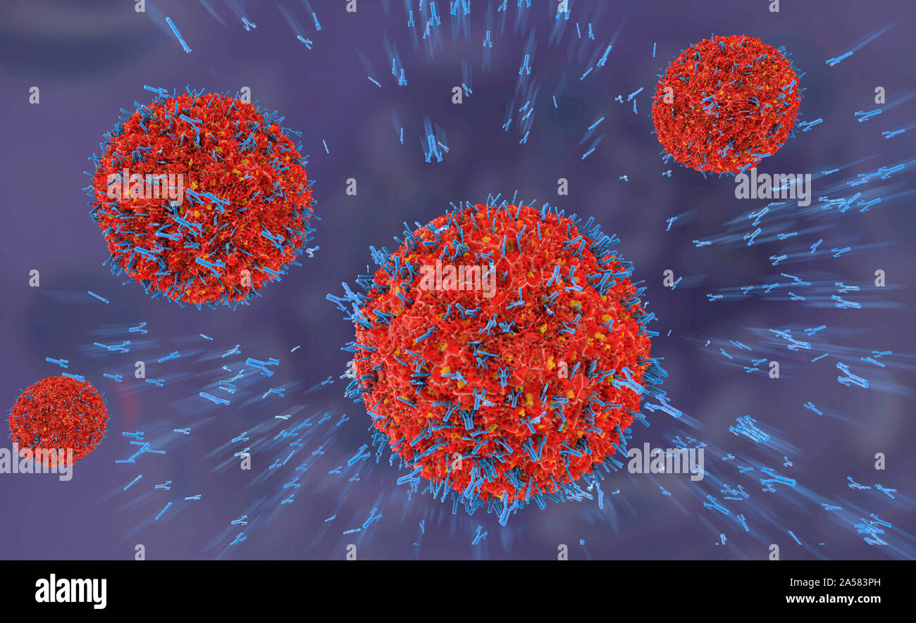 Antibodies attacking virus particles, illustration Stock Photo - Alamy