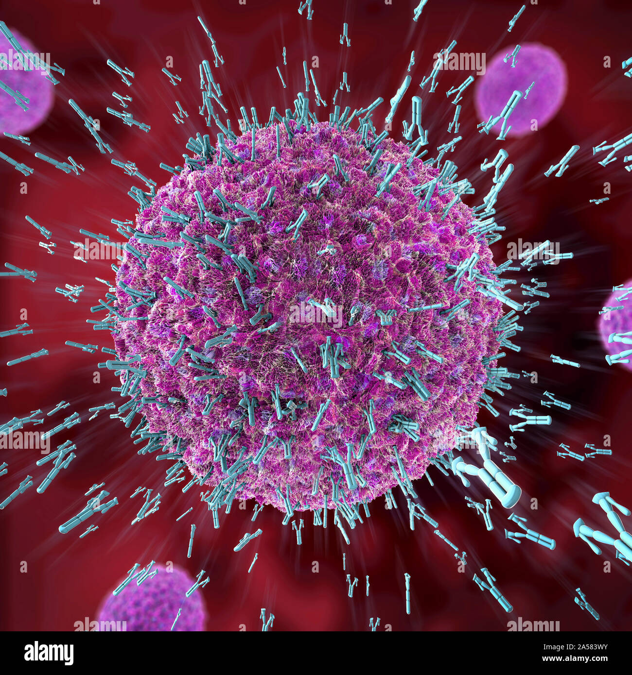 Antibodies attacking virus particles, illustration Stock Photo - Alamy