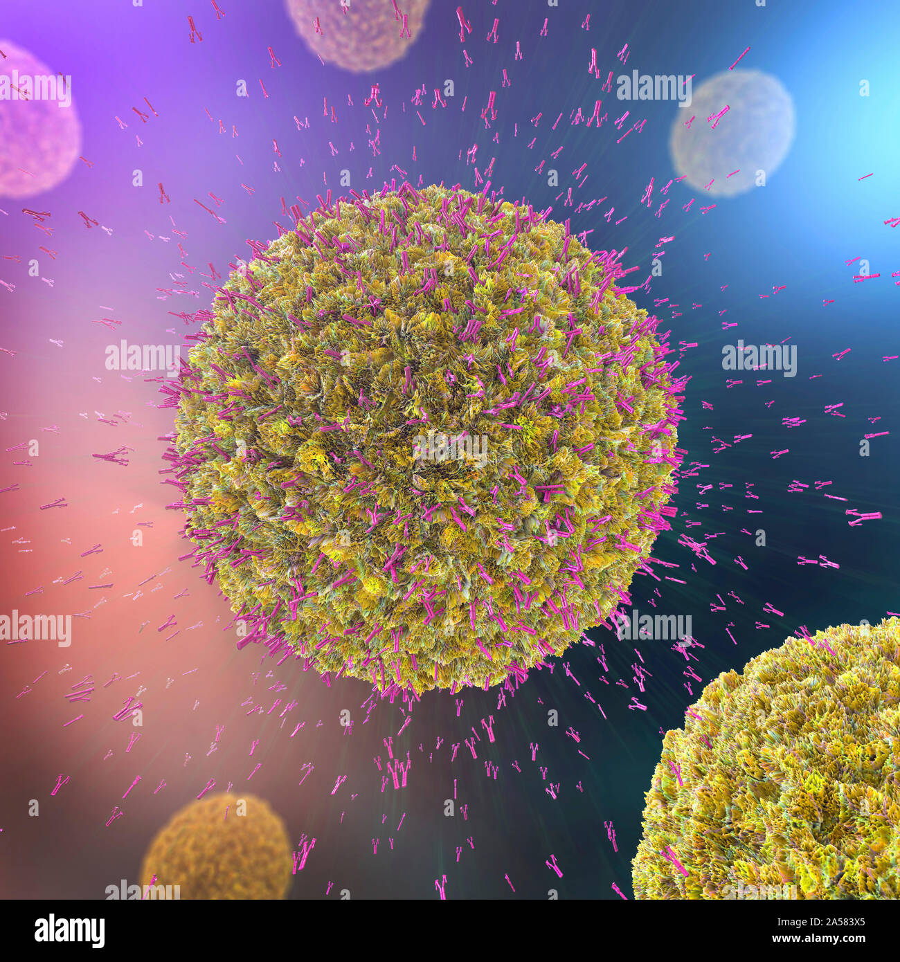 Antibodies attacking virus particles, illustration Stock Photo Alamy