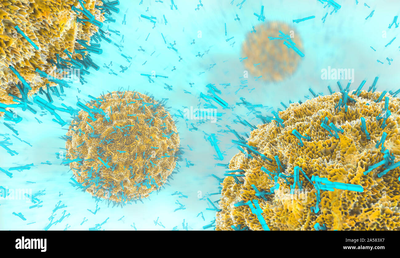 Antibodies attacking virus particles, illustration Stock Photo - Alamy