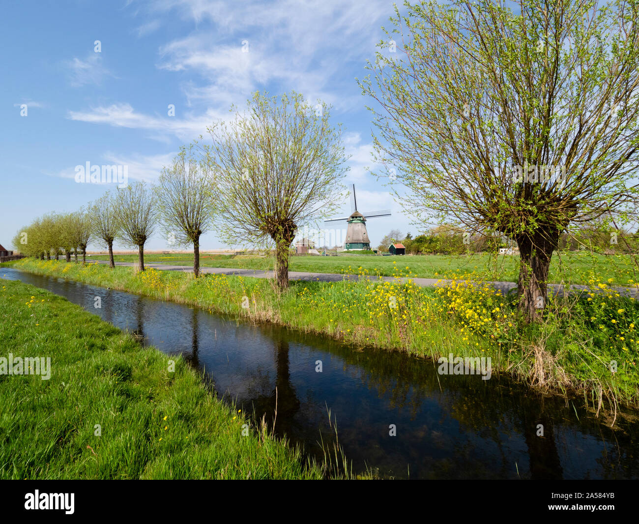 Rural scene with treelined canal, road and windmill, Dijkjweg, Hoogwoud, North Holland, Netherlands Stock Photo