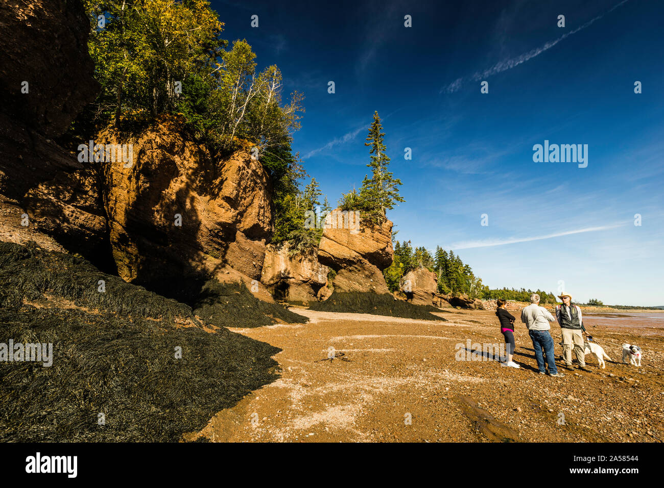 Hopewell rocks ocean tidal exploration site hi-res stock photography ...