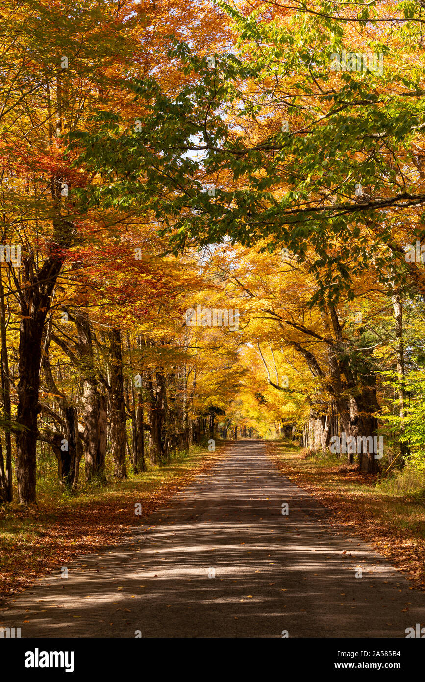 Desolate country road has leaves falling in autumn season New York Stock Photo