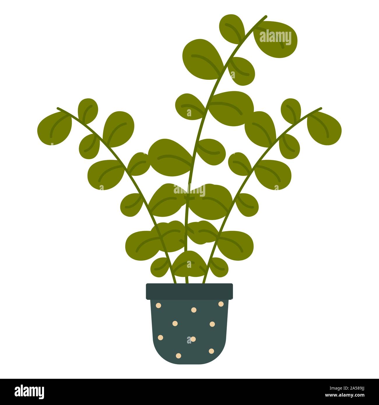 Indoor plant image Stock Vector Images - Alamy