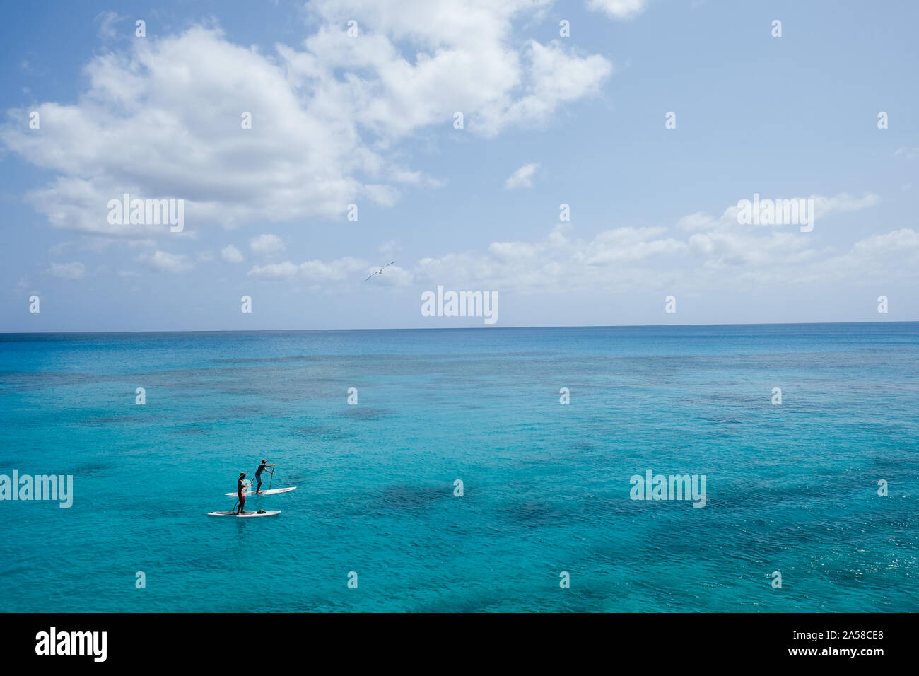 Paddle boarding near Church Bay, Bermuda. Stock Photo